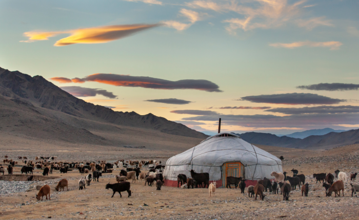 mongolie