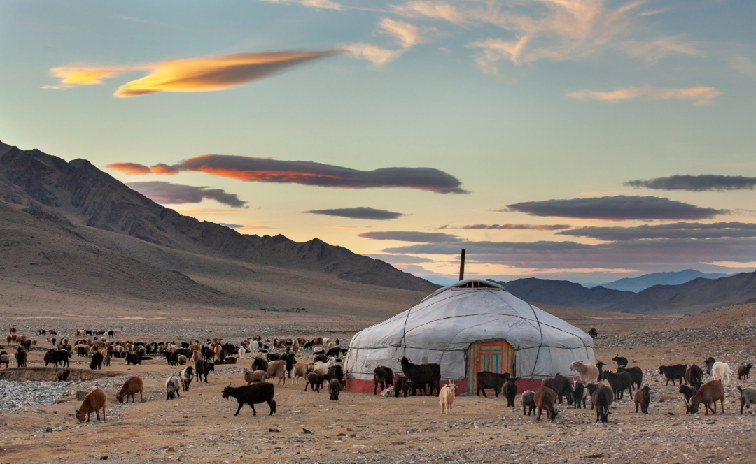 mongolie